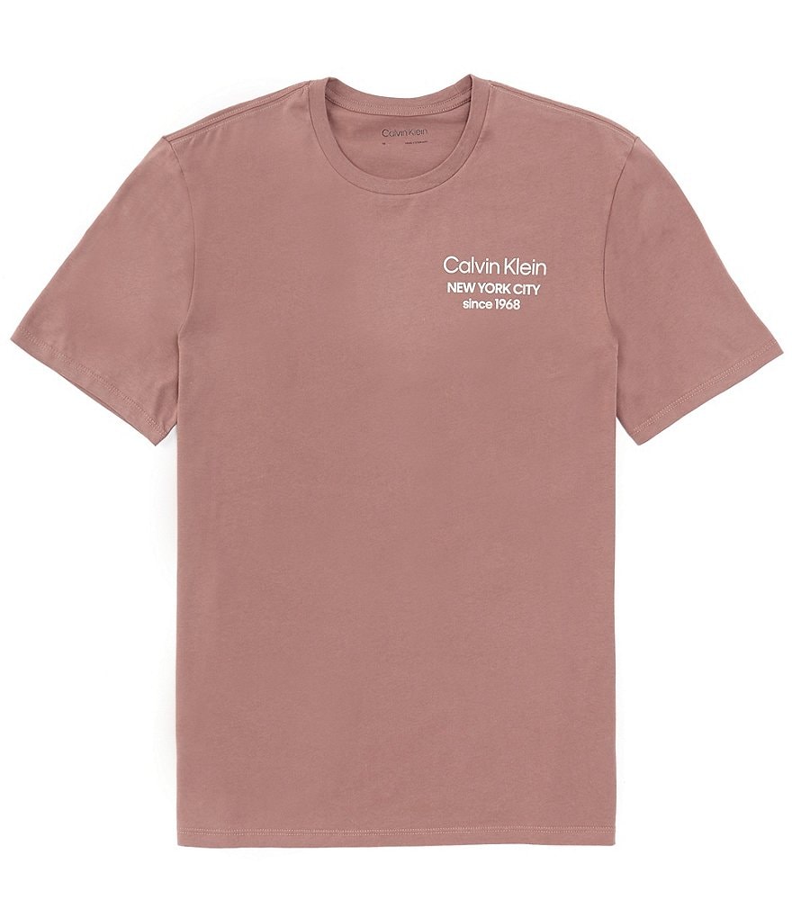 Calvin Klein Coordinates Logo Graphic T-shirt - T-shirts 