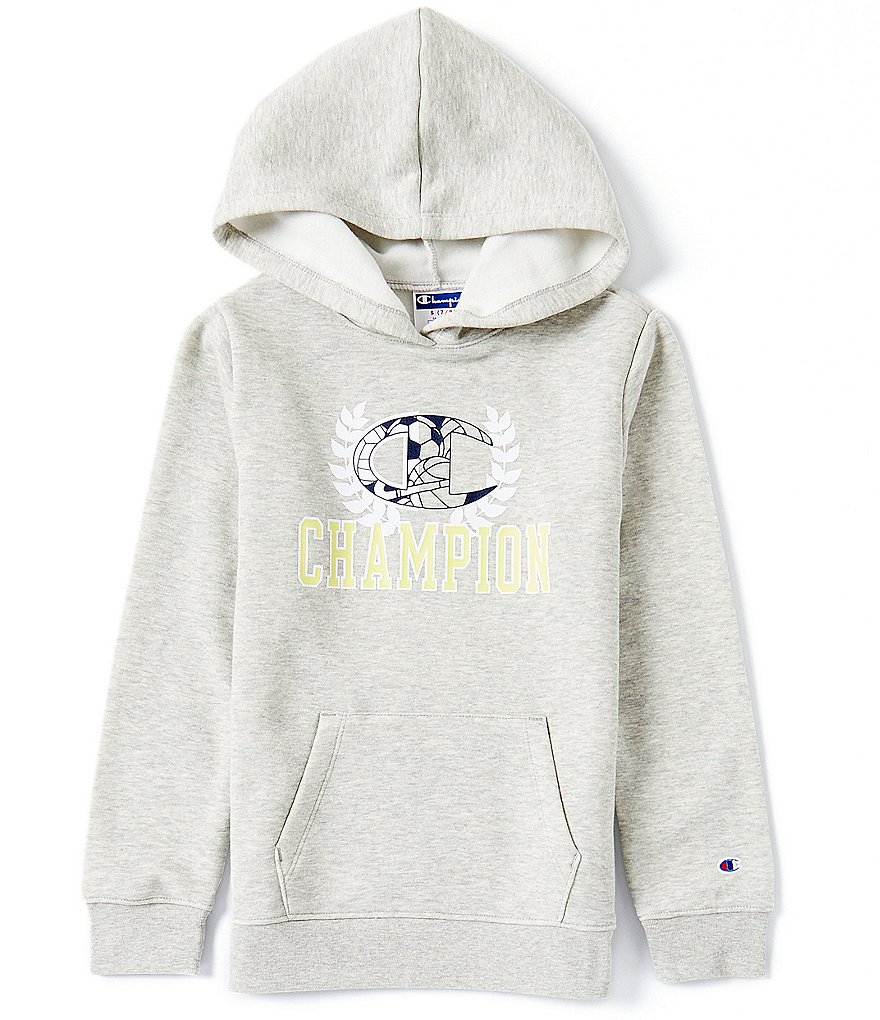 Champion hoodie logo on sleeve hot sale