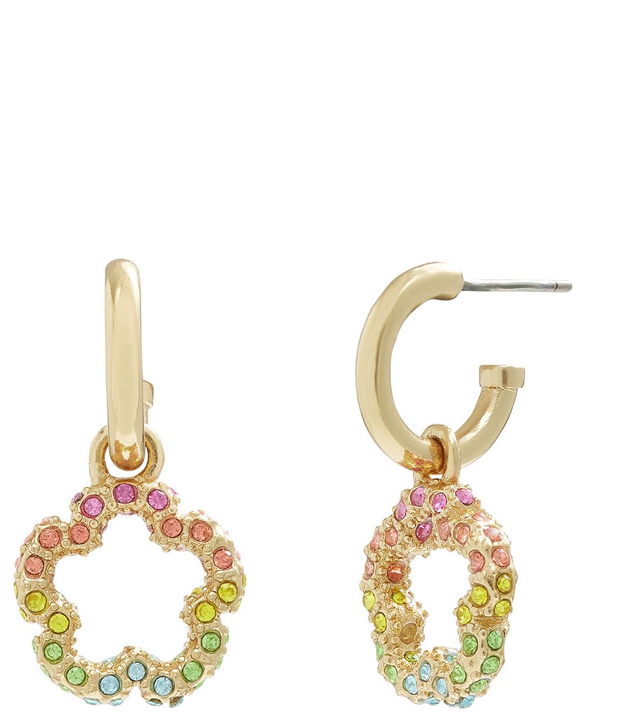 Rainbow johnson sales hoop earrings