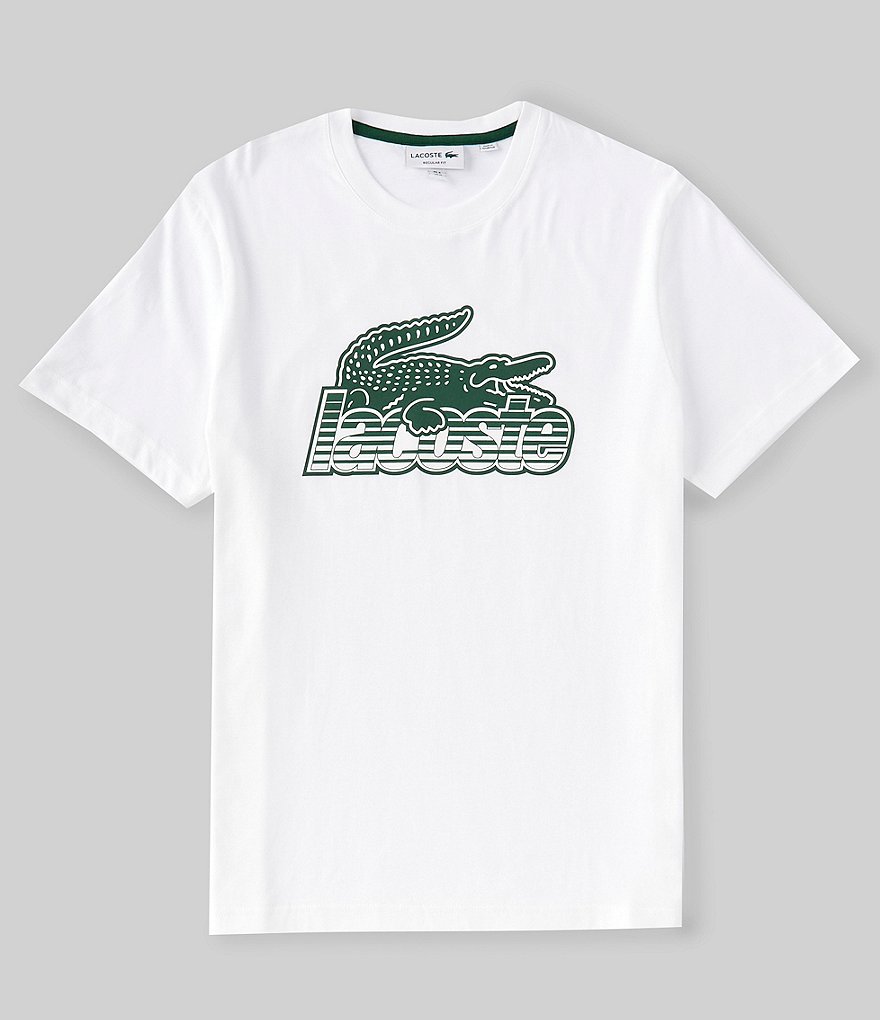 Nike - Lacoste T Shirt France Transparent PNG - 687x740 - Free Download on  NicePNG