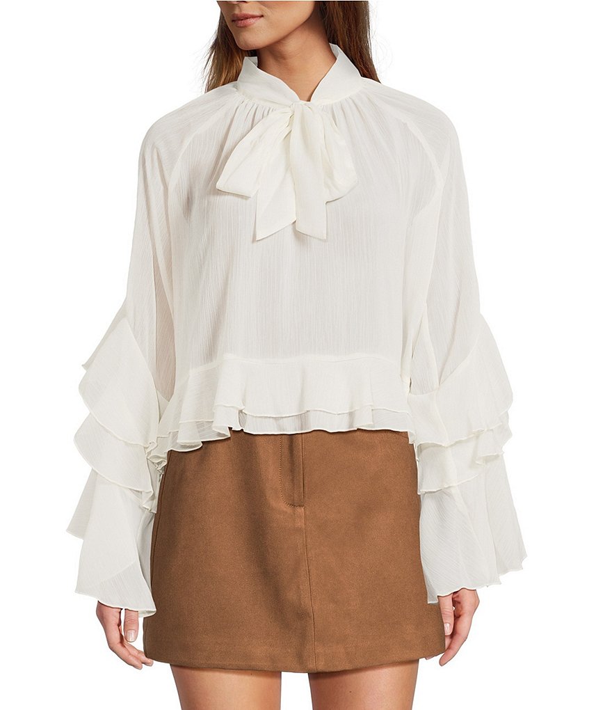 Lucy Paris Kyle V-Neck Long Sleeve Chiffon Ruffle Top | Dillard's