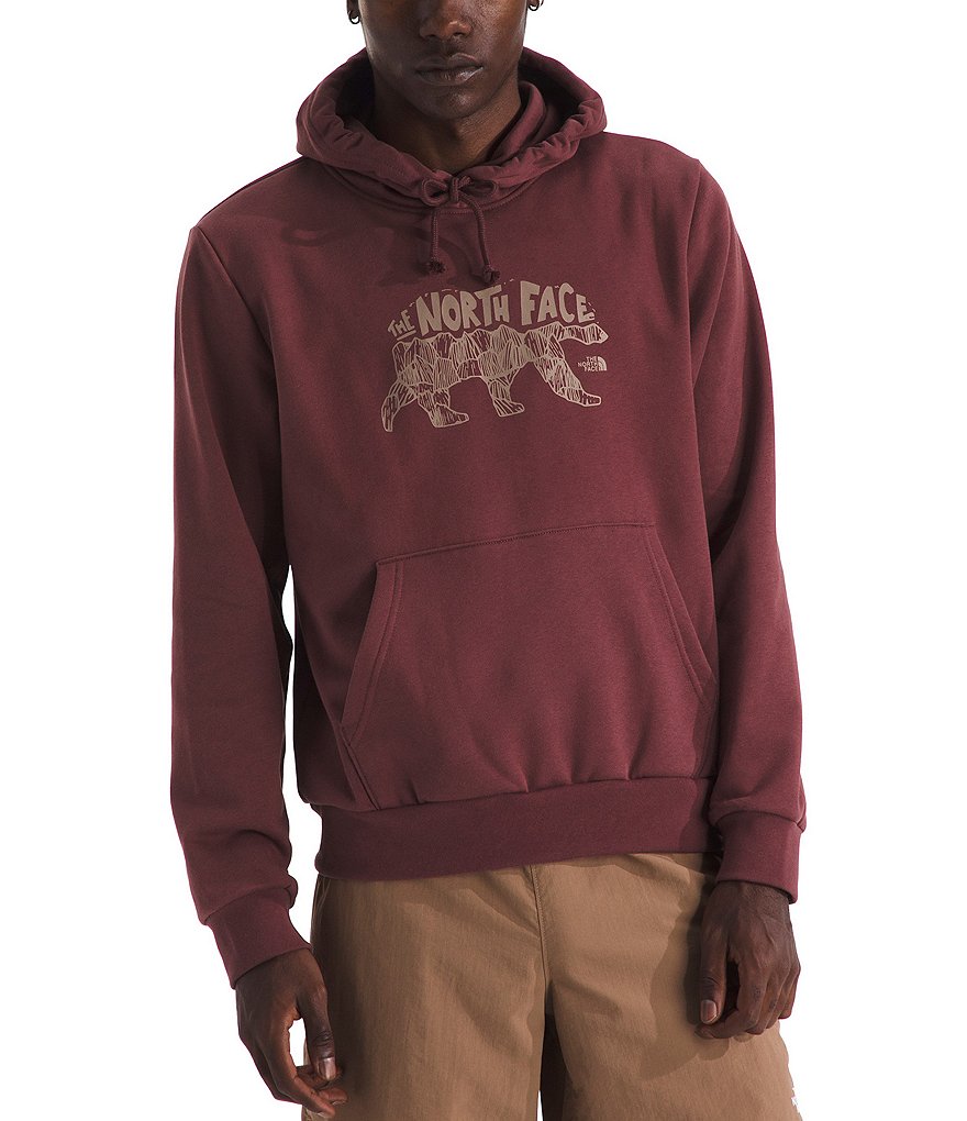 The North Face Evolution TNF™ Bear Graphic Hoodie | Dillard's