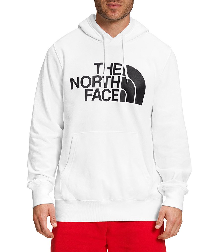 The North Face Half Dome Raglan Sleeve Pullover Hoodie | Dillard's
