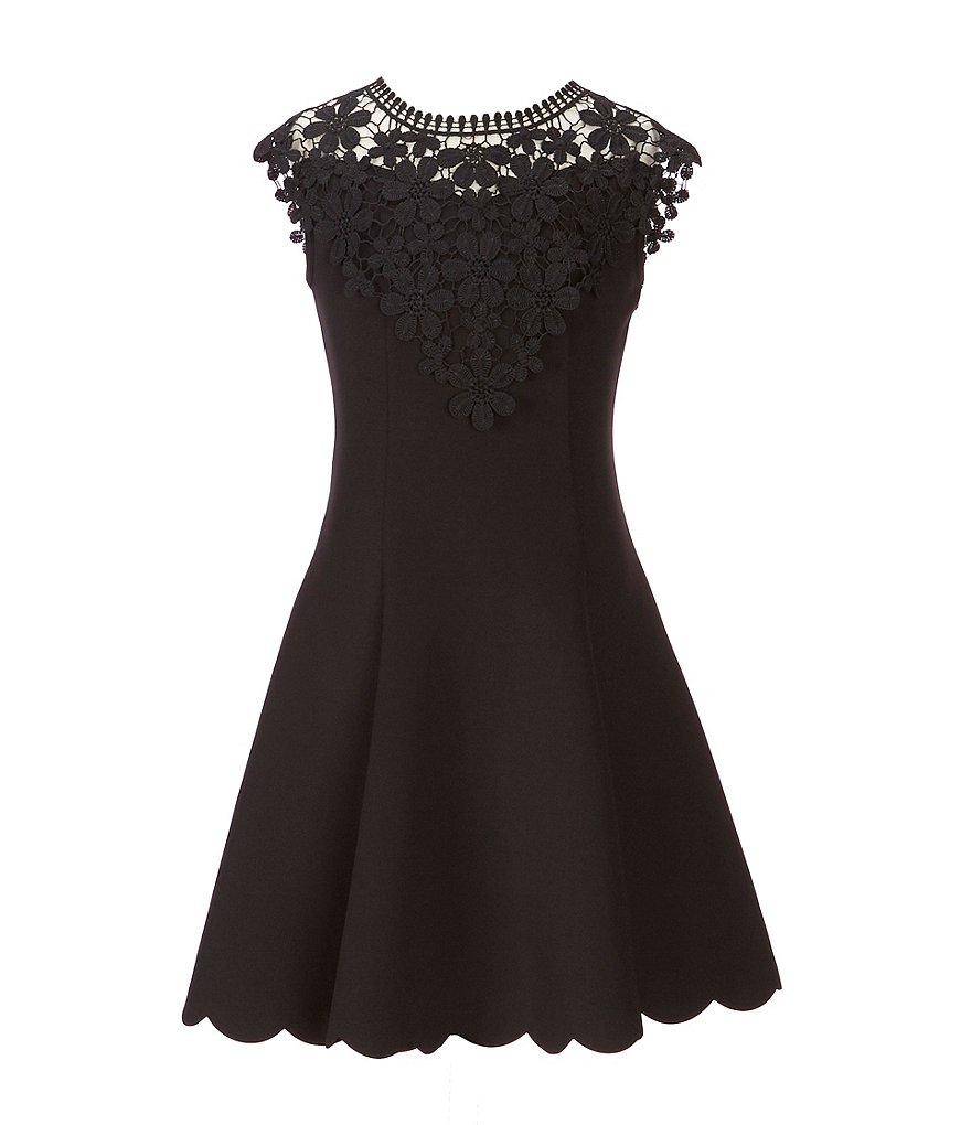 Zunie lace sales skater dress