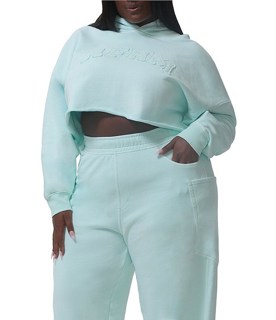 AFRM Plus Size Darius Cropped Long Sleeve Logo Hoodie, Icy Morn - Image 1