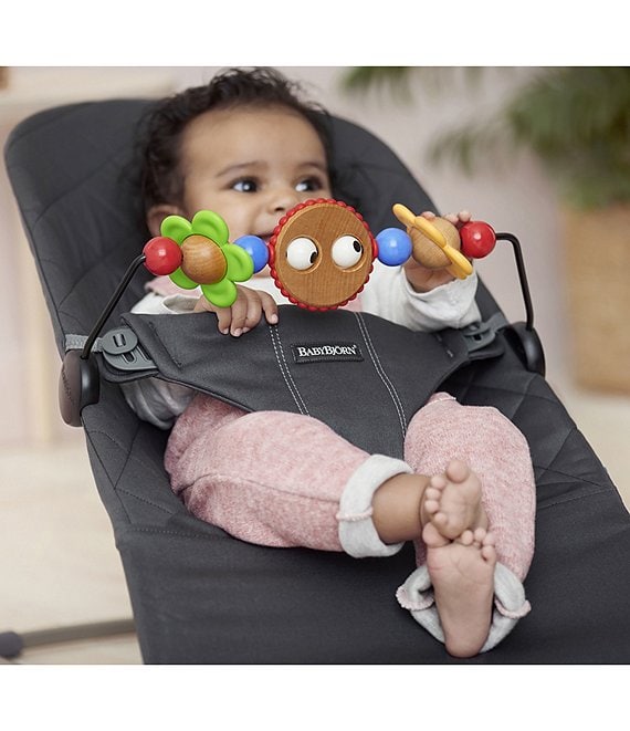 baby bouncer accessories