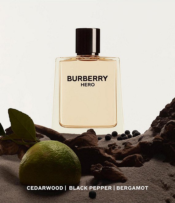 Burberry Hero Eau de Toilette for Men | Dillard's