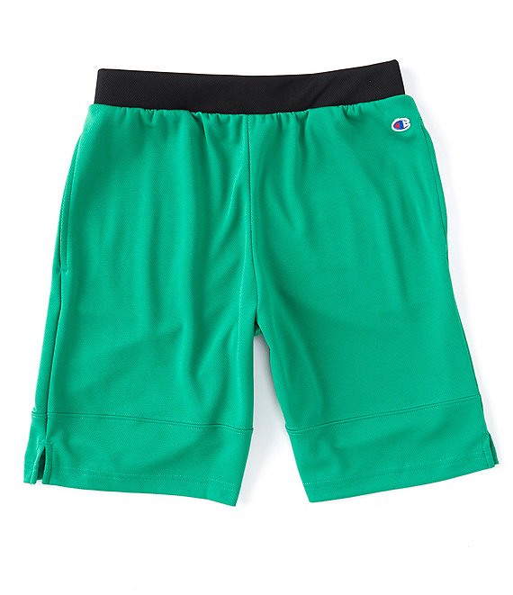 Champion shorts best sale men mesh