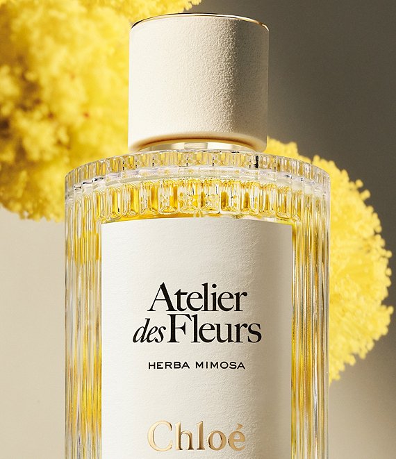 Chloé HERBA MIMOSA Atelier des Fleurs Chloe Atelier des Fleurs Herba Mimosa Eau de Parfum | Dillard's