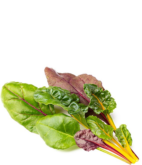 Click and Grow Rainbow Chard Plant Pods, 9-Pack