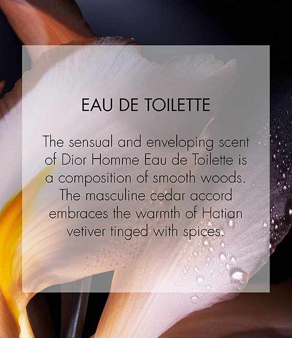 Dior Dior Homme Eau de Toilette | Dillard's