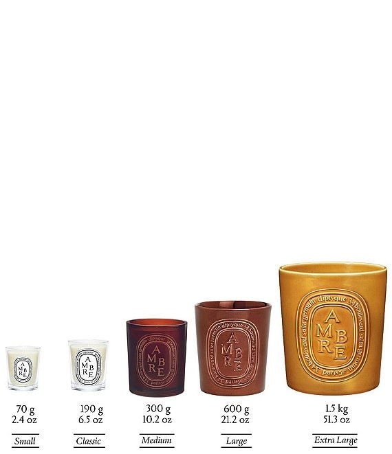 DIPTYQUE Ambre (Amber) Candle | Dillard's
