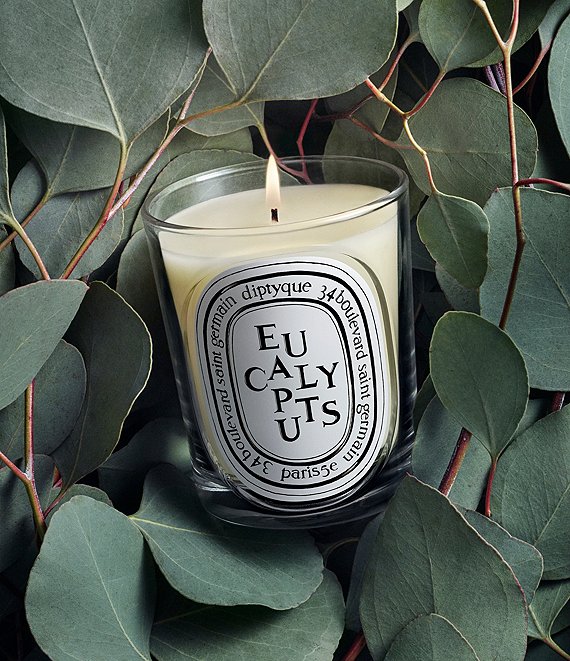 DIPTYQUE Eucalyptus Classic Candle, 6.7 oz. | Dillard's