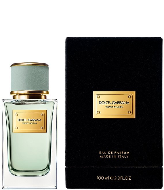 Dolce & Gabbana Velvet Infusion Eau de Parfum | Dillard's