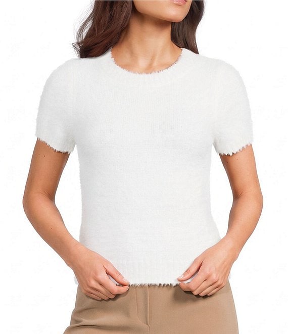Evolutionary Crew Neck Short Sleeve Pullover Sweater