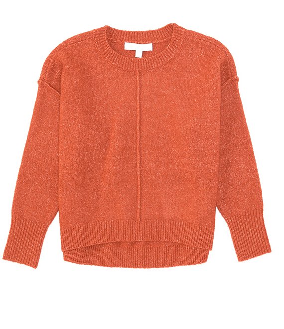 Color:Cayenne - Image 1 - Girls Little Girls 2-6X Ribbed Neck Seamed Sweater
