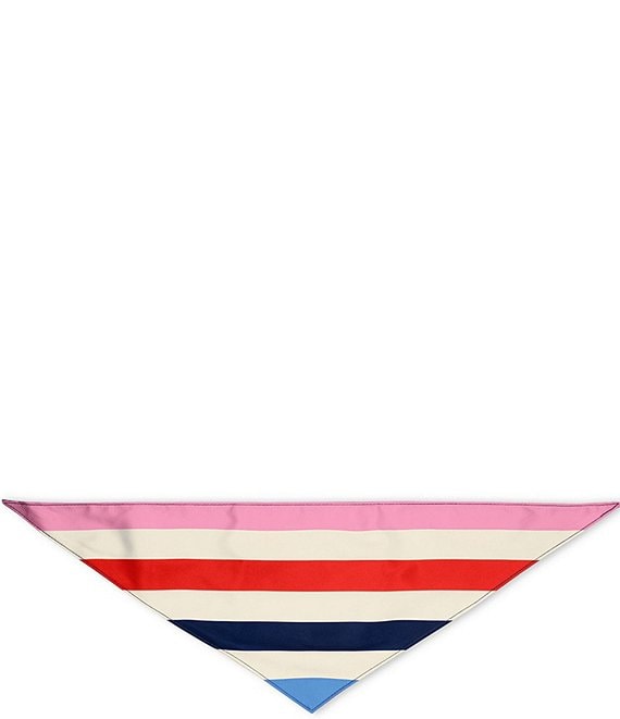 Color:Multi - Image 1 - Adventure Stripe Pet Bandana