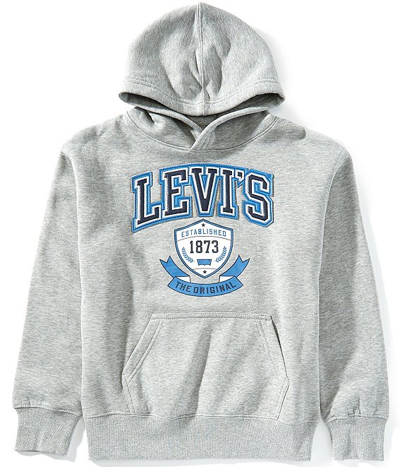 Levi's® Big Boys Long Sleeve Authentic Prep Pullover Hoodie