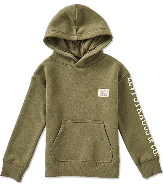 Levi's® Little Boys Long Sleeve Hit Pullover Hoodie