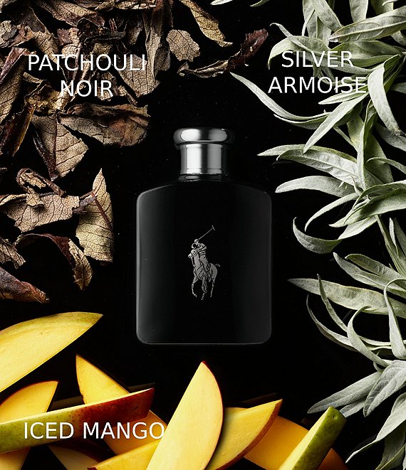 Ralph Lauren Polo Black Eau de Toilette Spray | Dillard's