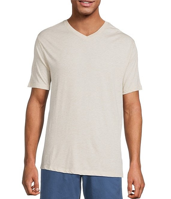 Roundtree & Yorke Solid Cloud Short Sleeve V-Neck T-Shirt