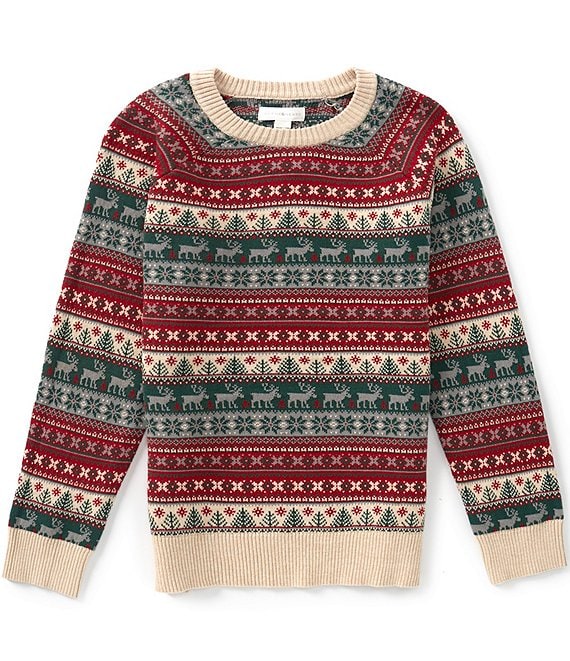 Scene&Heard Little Boys Long Sleeve Fair Isle Crew Neck Sweater