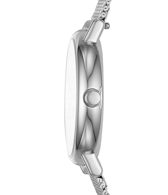 Skagen Women display picture 2