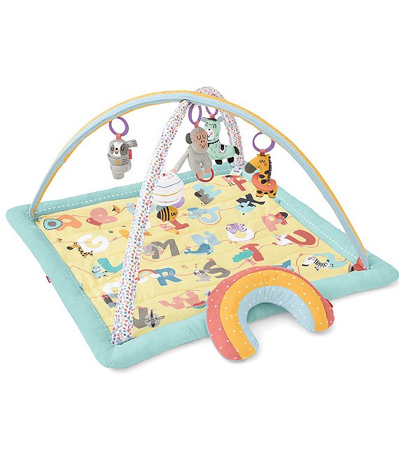 skip hop activity gym