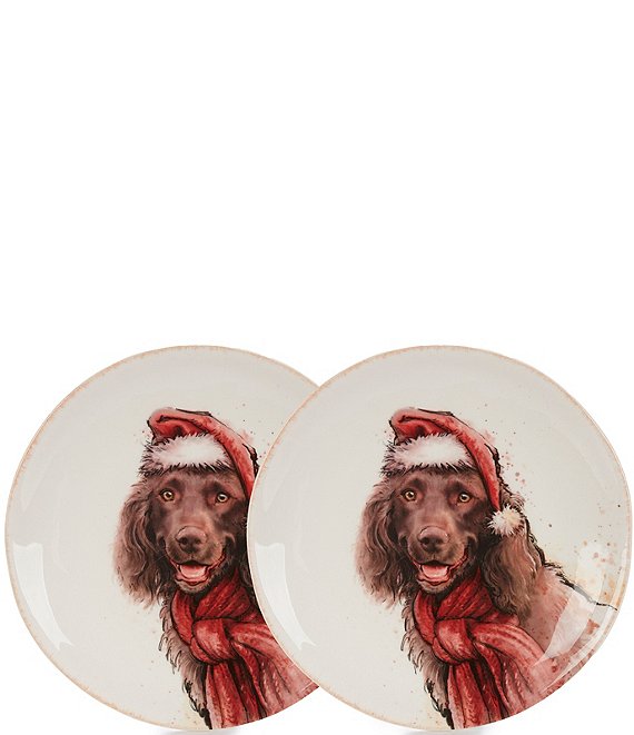 https://dimg.dillards.com/is/image/DillardsZoom/mainProduct/southern-living-holiday-one-boykin-accent-plates-set-of-2/00000000_zi_11e26d35-8cdc-4986-836e-e9067c4ec8a5.jpg