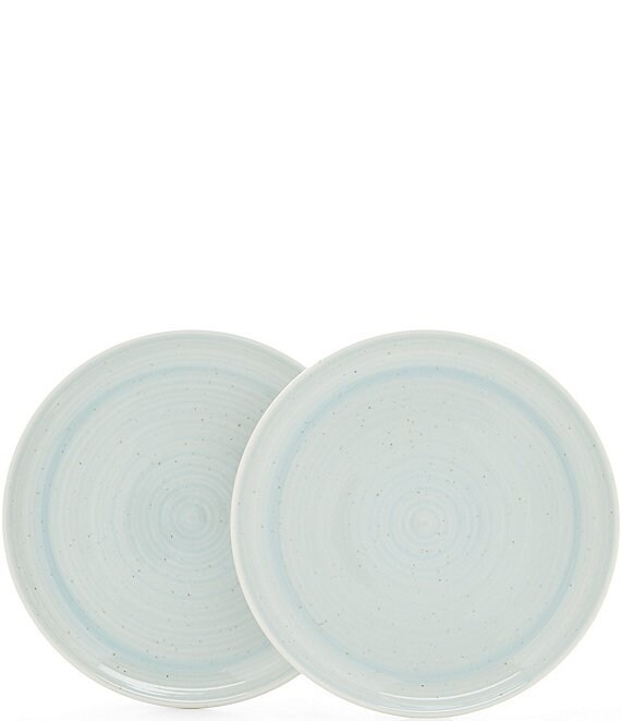 Color:Green - Image 1 - Simplicity Speckled Salad Plates, Set of 2