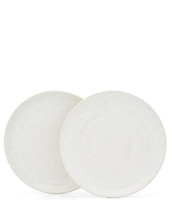 Southern LivingSimplicity Collection White and Natural Speckled Dinner Plates, Set of 2