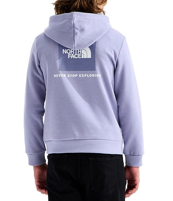 The North Face Big Kids Evolution Box NSE Pullover Hoodie