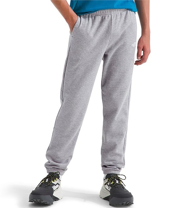 The North Face Big Kids Evolution EMB Jogger Pants, TNF Pale Grey Heather - Image 1