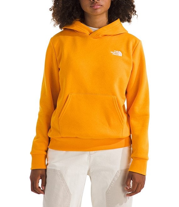 The North Face Big Kids Evolution EMB Pullover Hoodie, Summit Gold - Image 1