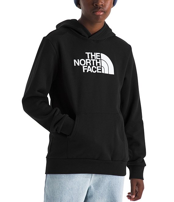 The North Face Big Kids Evolution Half Dome Pullover Hoodie, TNF Black - Image 1