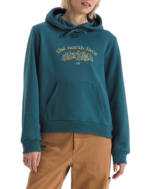 The North Face Evolution Retro-Growth Graphic Print Pullover Hoodie