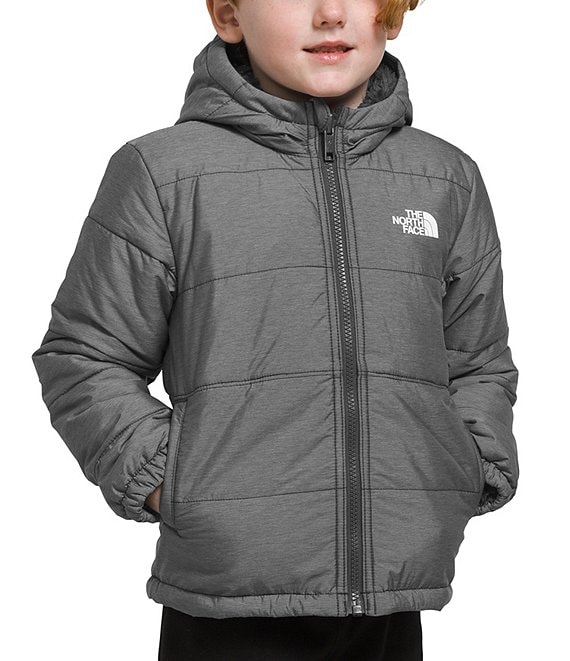 The North Face Little Boys 2T-7T Denali Long-Sleeve Fleece Jacket |  Dillard's