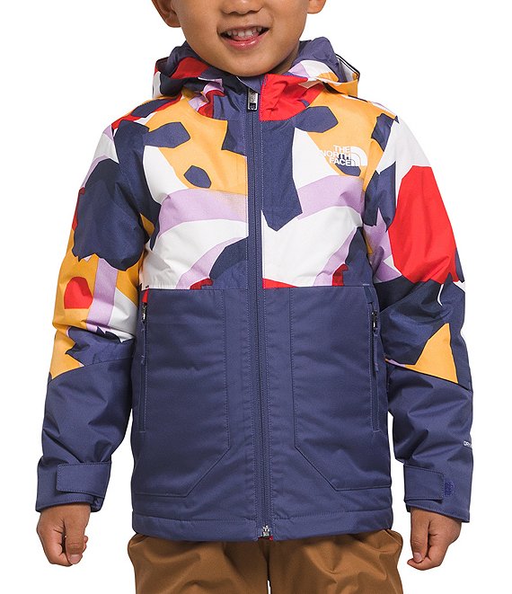 The North Face Little Kids 2T-7 Freedom Shapes Print Insulated Jacket ...