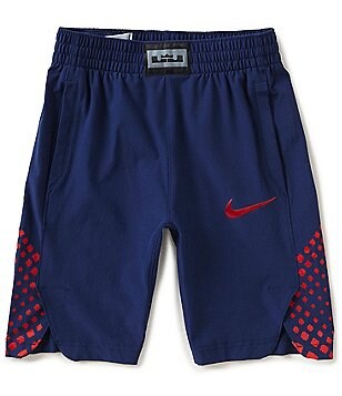 lebron james kids shorts