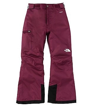 The North Face Freedom Insulated Girl's Jacket - Boysenberry Paint  Lightening / L