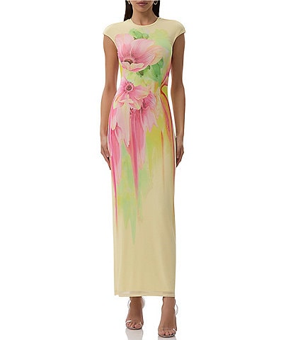 AFRM Cody Floral Print Crew Neck Cap Sleeve Mesh Maxi Dress