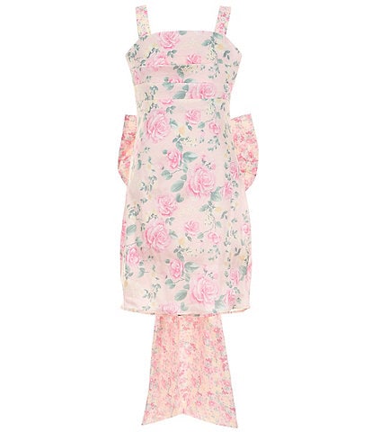 Allison & Kelly Big Girls Sleeveless Floral Printed Taffeta Bow-Back Dress