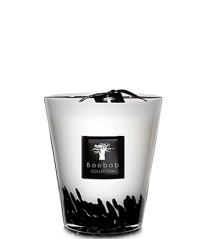 Baobab Collection Feathers Scented Candle