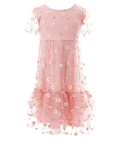Blush by Us Angels Little Girls 2T-6X Daisy Embroidered Mesh Dress