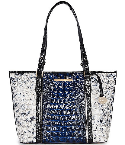 BRAHMIN Melbourne Collection Medium Asher Great Falls Tote bag
