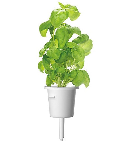 Click and Grow Basil Plant Pods, 9-Pack