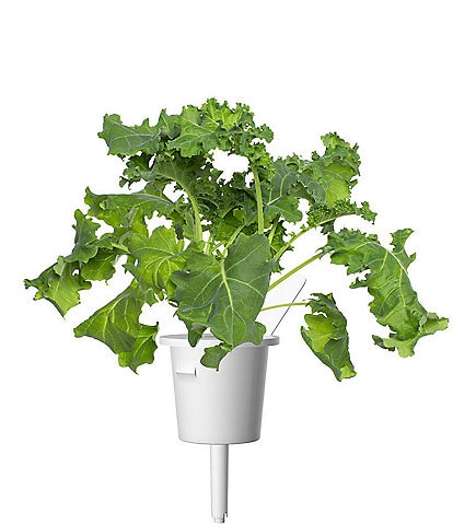 Click and Grow Green Kale Plant Pods, 9-Pack
