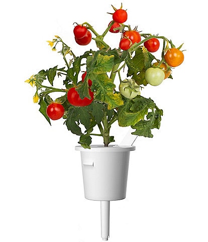 Click and Grow Mini Tomatoes Plant Pods, 9-Pack
