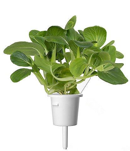 Click and Grow Pak Choi Plant Pods, 9-Pack