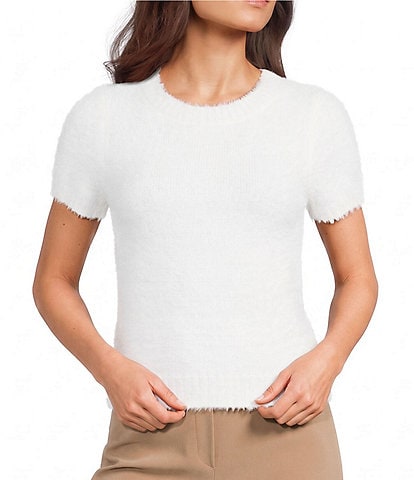 Evolutionary Crew Neck Short Sleeve Pullover Sweater